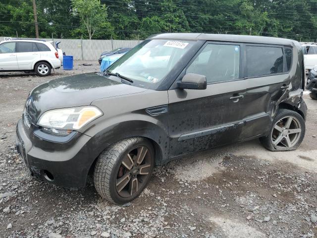 KIA SOUL +