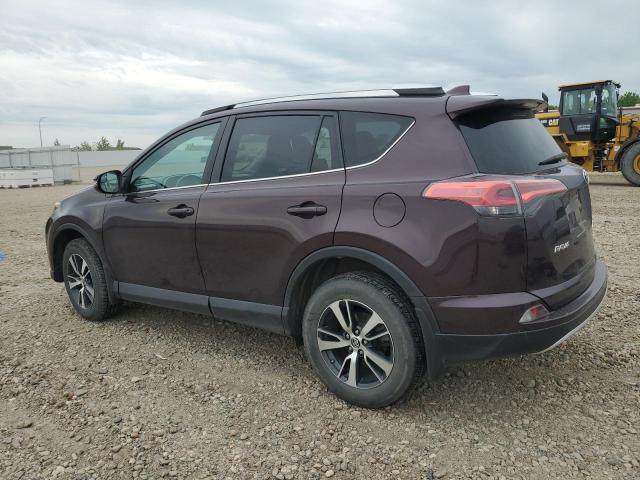 Vin: 2t3rfrev0gw517044, lot: 59749195, toyota rav4 xle 20162