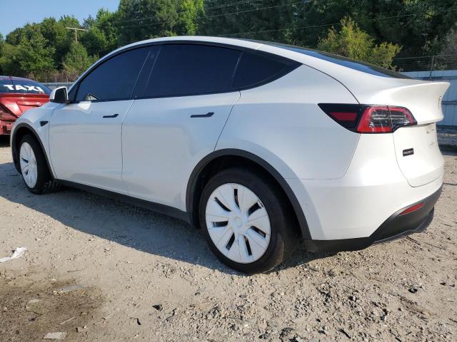 2021 TESLA MODEL Y 5YJYGDEE1MF246055