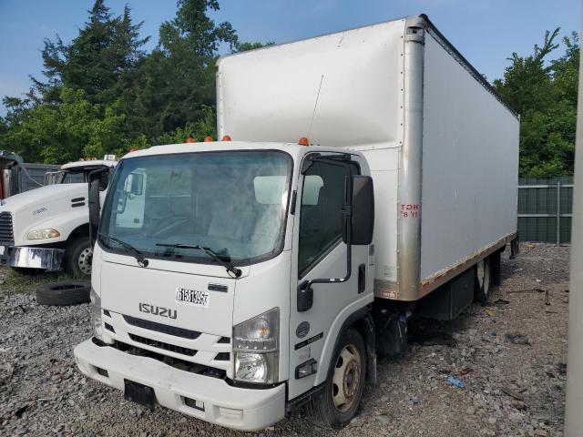 ISUZU NQR 2017 white tilt cab diesel JALE5W161H7301312 photo #1