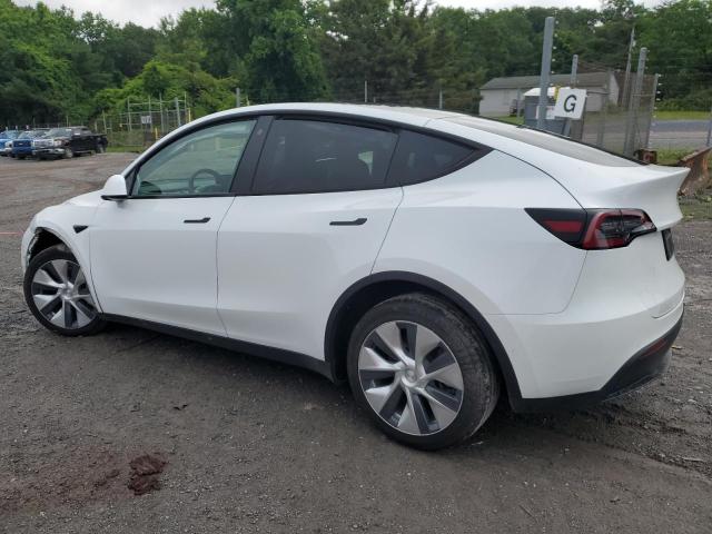 2021 TESLA MODEL Y 5YJYGDEE5MF263859