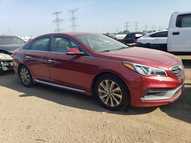 Vin: 5npe34af7gh409813, lot: 61152575, hyundai sonata sport 20164