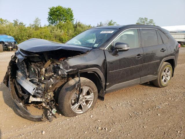 Vin: 2t3mwrfv0rw193539, lot: 59190375, toyota rav4 le 2024 img_1