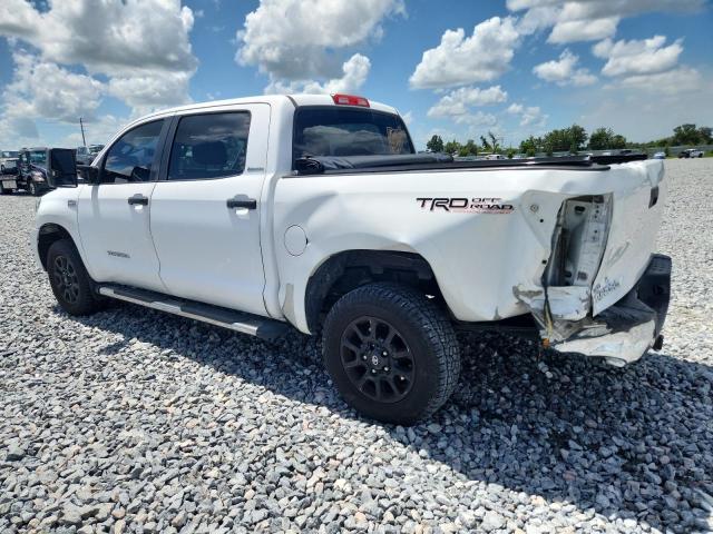 2010 TOYOTA TUNDRA CRE - 5TFFY5F13AX093573