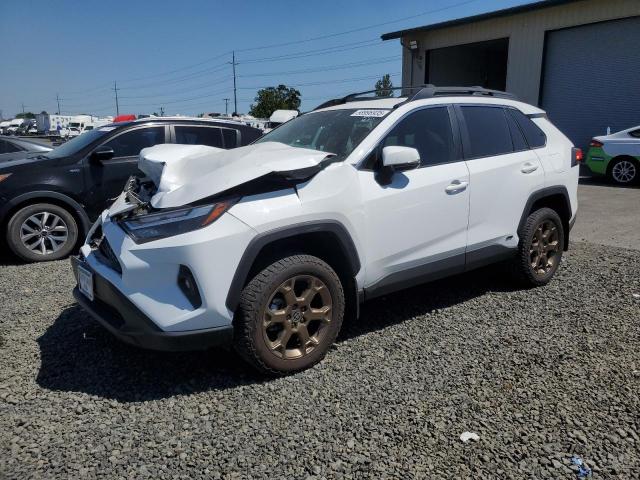 Vin: 2t3uwrfv9pw176378, lot: 58996935, toyota rav4 woodl woodland edition 2023 img_1