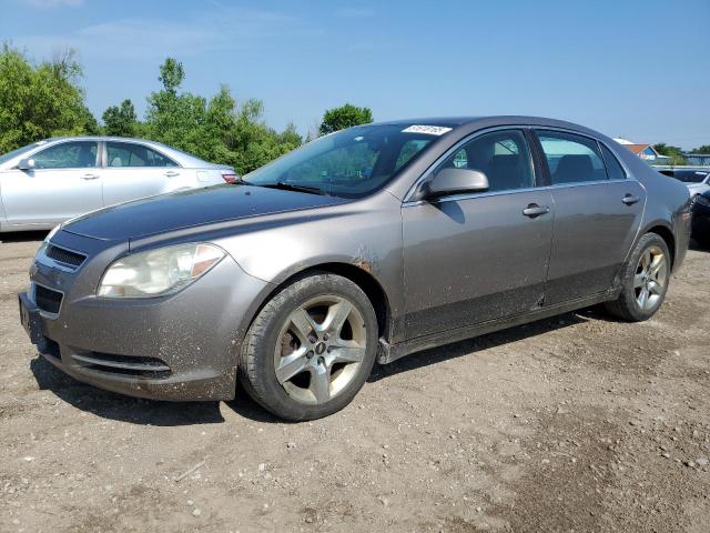 Vin: 1g1zc5eb4af207780, lot: 61618165, chevrolet malibu 1lt 2010 img_1