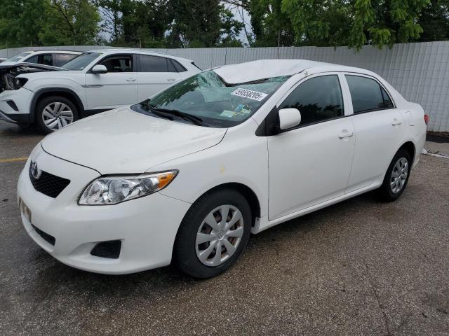 Vin: 2t1bu4ee8ac219756, lot: 59558205, toyota corolla base 2010 img_1
