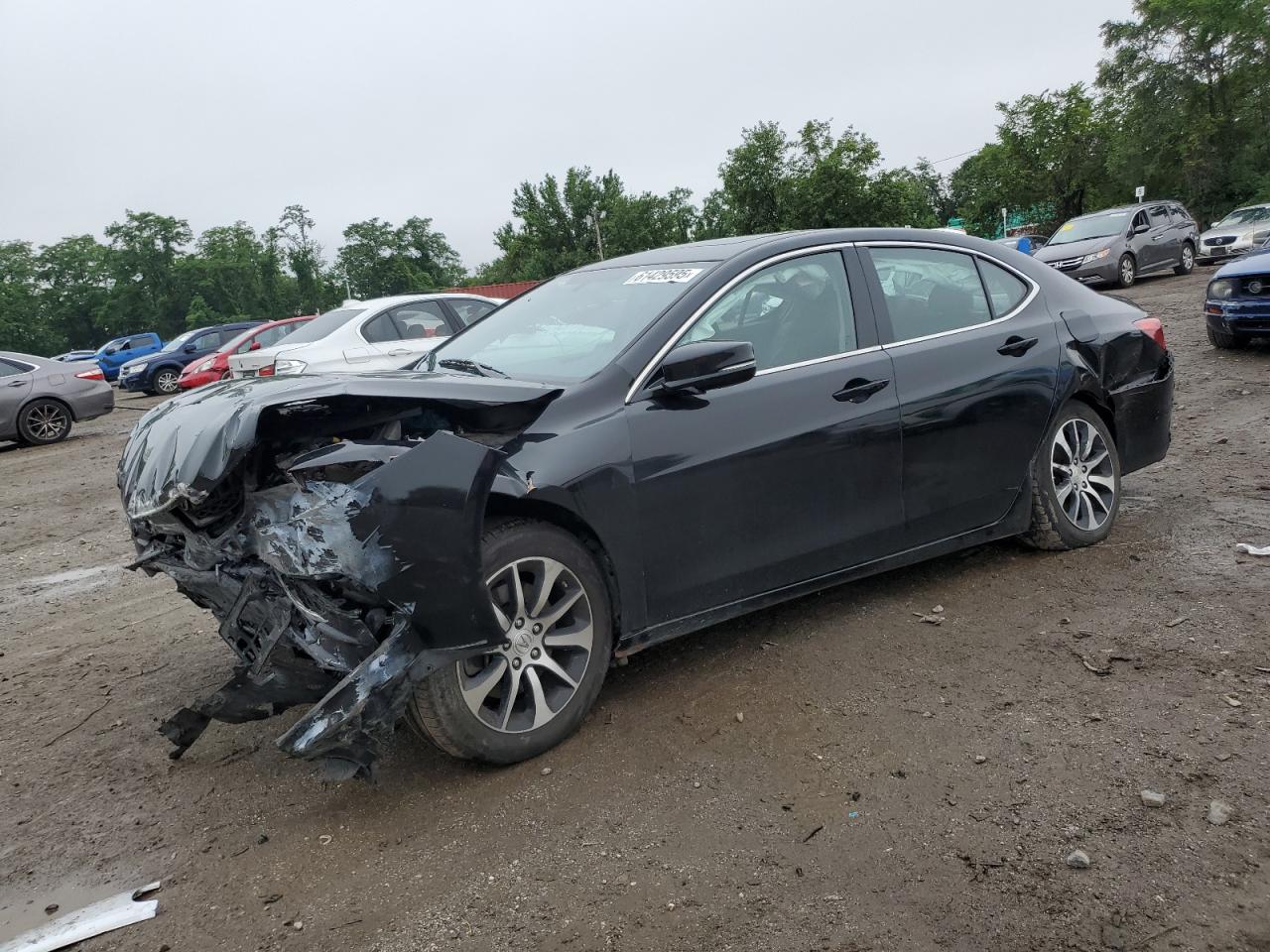 ACURA TLX
