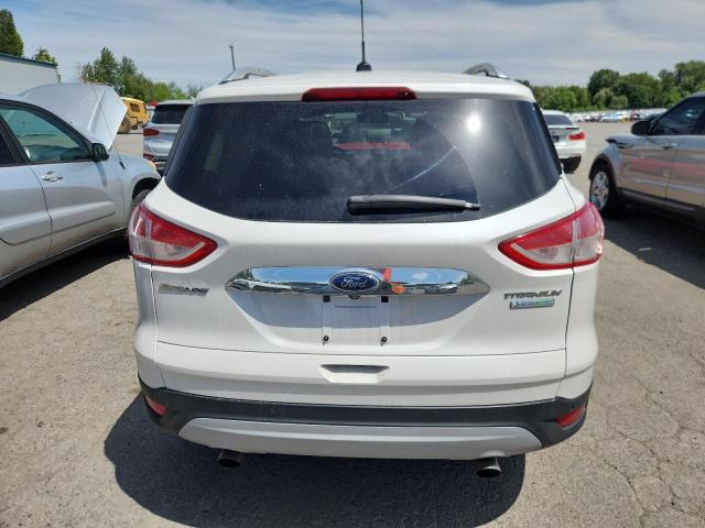 2014 FORD ESCAPE TIT - 1FMCU0JX5EUC52531