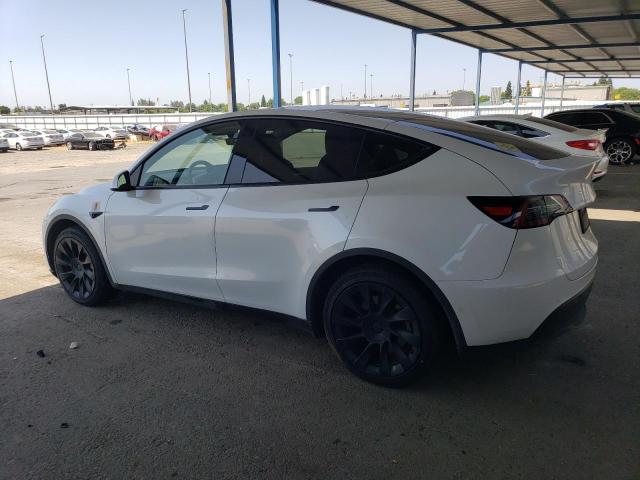 2023 TESLA MODEL Y 7SAYGDEE3PF584922