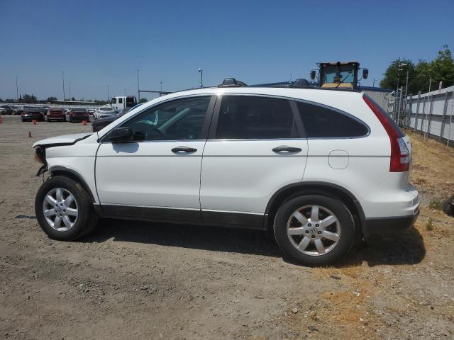 2010 HONDA CR-V EX - 5J6RE4H58AL054317