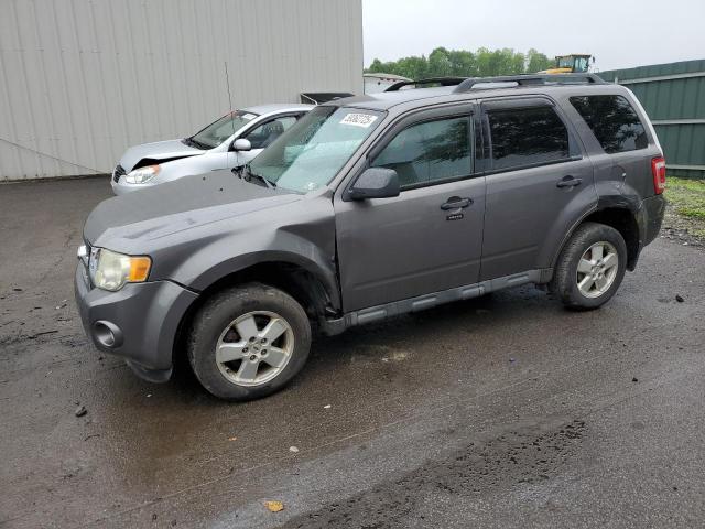Vin: 1fmcu9d77akb92421, lot: 59362725, ford escape xlt 2010 img_1