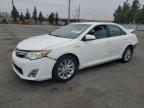 Top Destinations for Shipping Cars from the USA