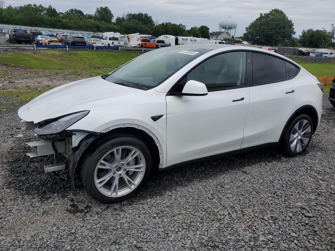 Lot #3298081126 2024 TESLA MODEL Y