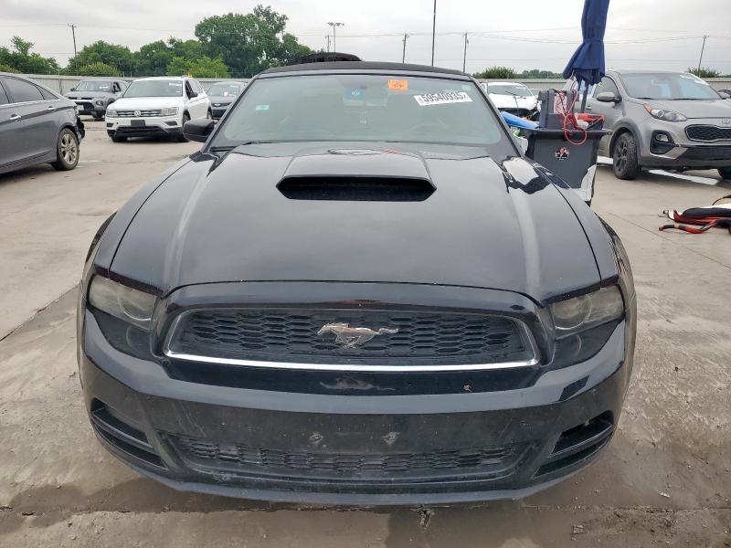 2013 FORD MUSTANG - 1ZVBP8EM7D5217243