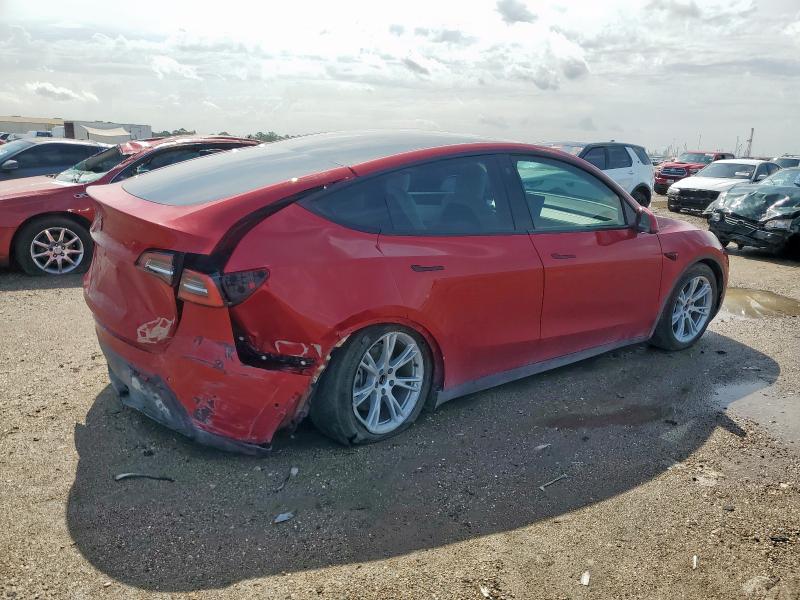 Vin: 5yjygded5mf123334, lot: 61158035, tesla model y 20213