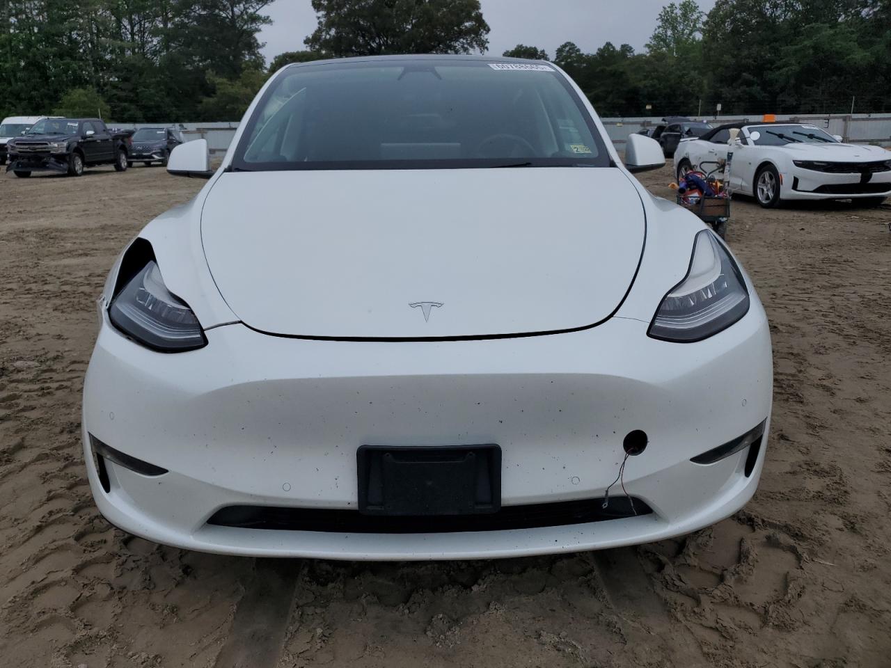 Tesla Model y 2020