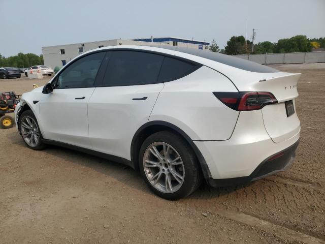 Vin: 7saygdee3pf775207, lot: 59359315, tesla model y 20232