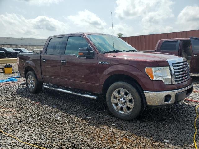 Vin: 1ftew1c82afb29464, lot: 59440135, ford f-150 supercrew 20104
