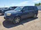 Top Destinations for Shipping Cars from the USA