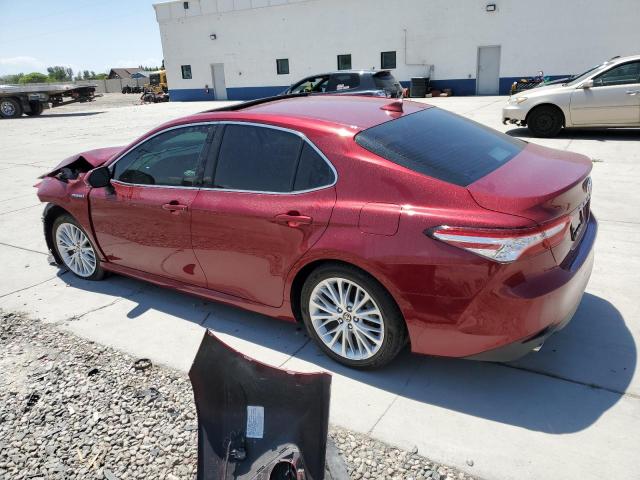 2020 TOYOTA CAMRY XLE 4T1F31AK1LU019382
