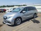 2018 HONDA ODYSSEY EX - 5FNRL6H75JB033503