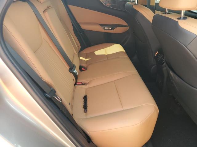 2025 LEXUS NX 250 PRE 2T2GDCAZ3SC022077