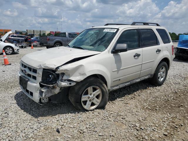 FORD ESCAPE HYB