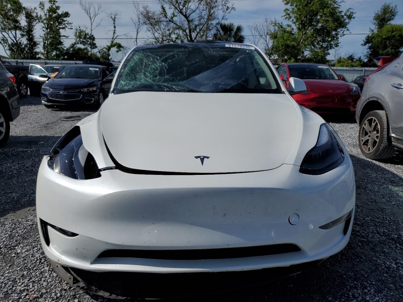 Tesla Model y 2025