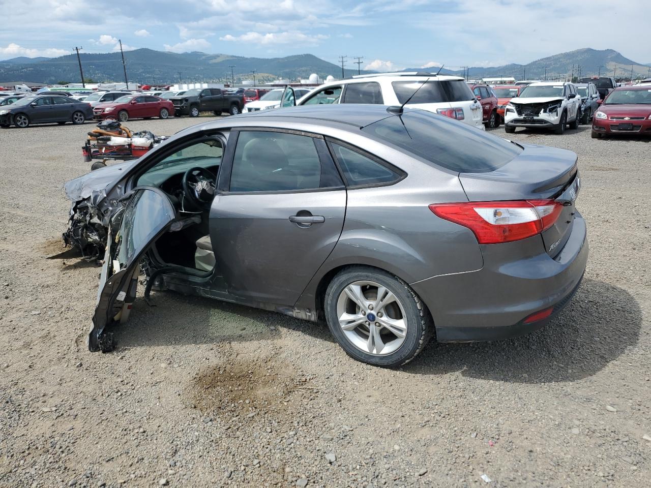 Lot #3211005559 2014 FORD FOCUS SE