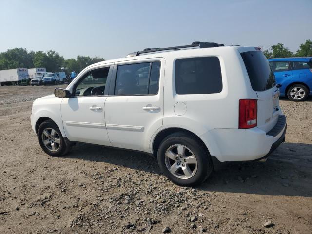 Vin: 5fnyf4h54bb031703, lot: 60595295, honda pilot exl 20112