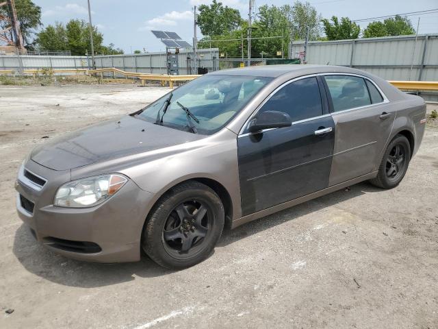Vin: 1g1zb5e11bf232728, lot: 59511725, chevrolet malibu ls 2011 img_1