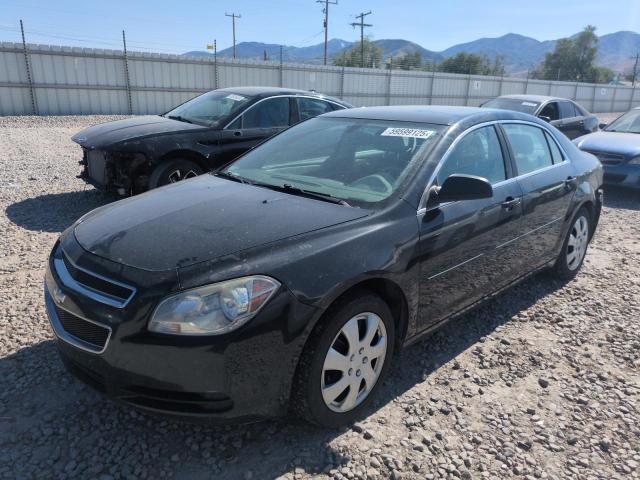 Vin: 1g1zb5e18bf216798, lot: 59599125, chevrolet malibu ls 2011 img_1