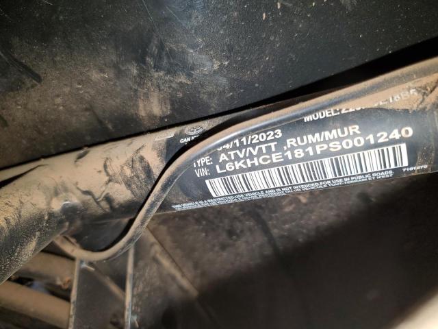 2023 POLARIS RZR 200 EF L6KHCE181PS001240