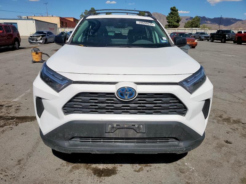 2023 TOYOTA RAV4 LE - 4T3LWRFVXPU105766