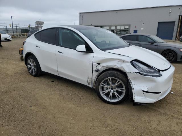 2021 TESLA MODEL Y 5YJYGAEE0MF282754