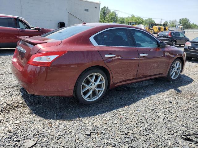 Vin: 1n4aa5ap5bc850823, lot: 60701225, nissan maxima s 20113