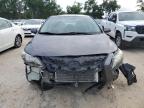 Lot #3293349446 2013 TOYOTA COROLLA BA