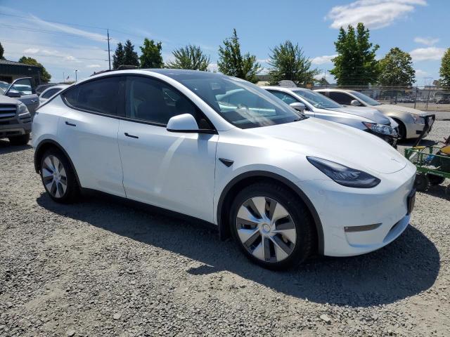 2021 TESLA MODEL Y 5YJYGAEE4MF239504