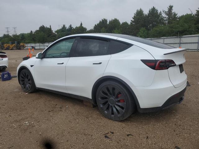 2022 TESLA MODEL Y 7SAYGDEF1NF389990