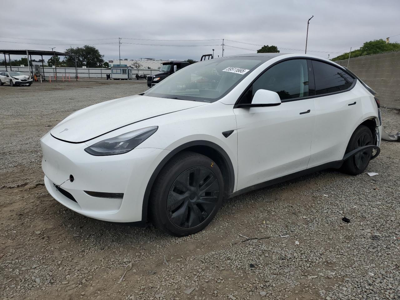 Tesla Model y 2025