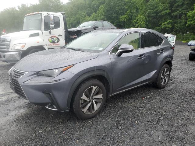 Vin: jtjgardz9m2239031, lot: 60113455, lexus nx 300 base 2021 img_1