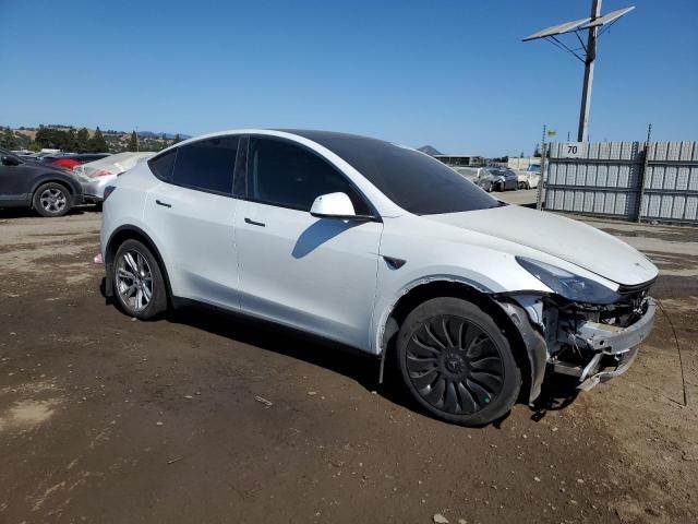 2024 TESLA MODEL Y 7SAYGDEE5RF090807