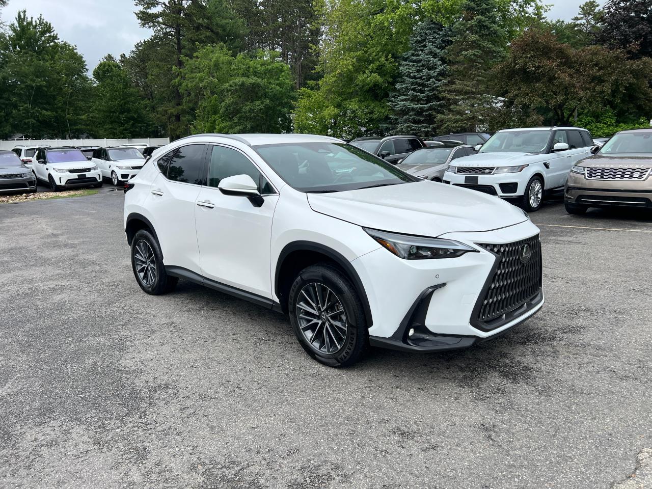 LEXUS NX 250