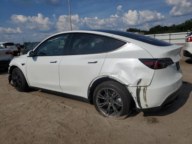2024 TESLA MODEL Y 7SAYGDED4RF182725