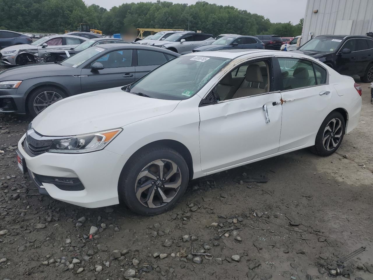 HONDA ACCORD EXL