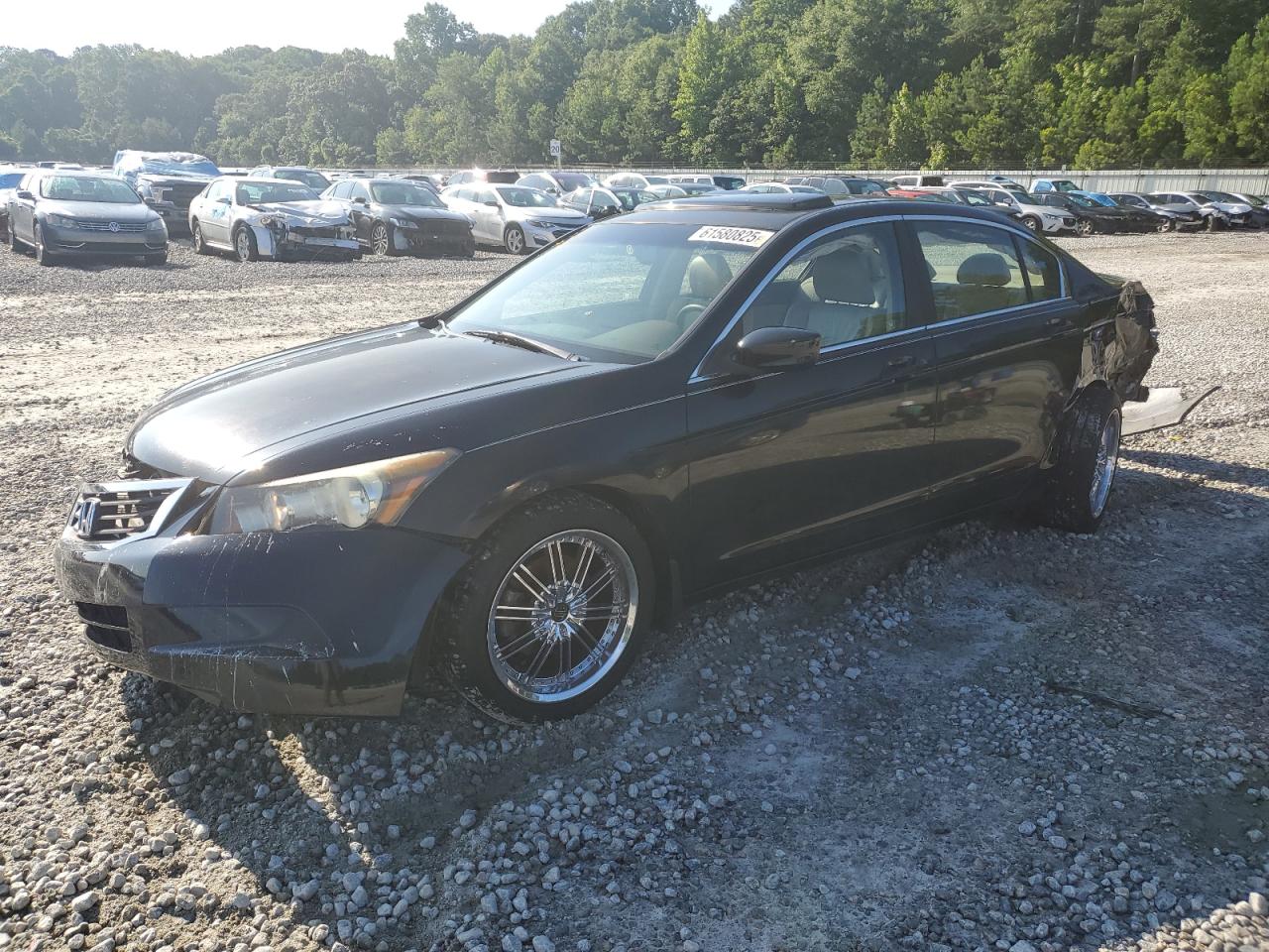 HONDA ACCORD EXL