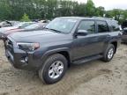 2023 TOYOTA 4RUNNER SE - JTEMU5JR5P6104499