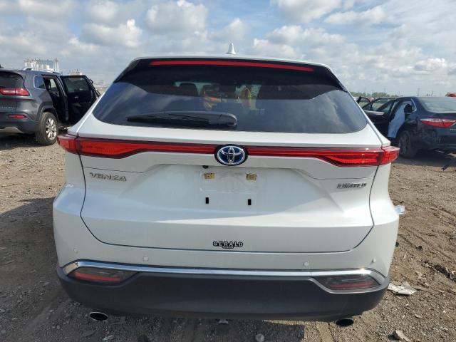 2023 TOYOTA VENZA LE JTEAAAAH3PJ152656