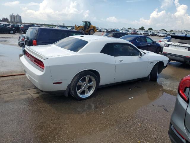 Vin: 2b3cj5dt9ah315048, lot: 61444455, dodge challenger r/t 20103